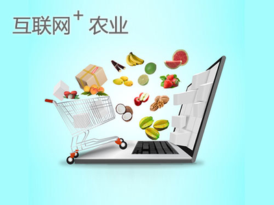 點豆網 以“互聯網+”助力農業可持續發展，開啟智慧農業新篇章